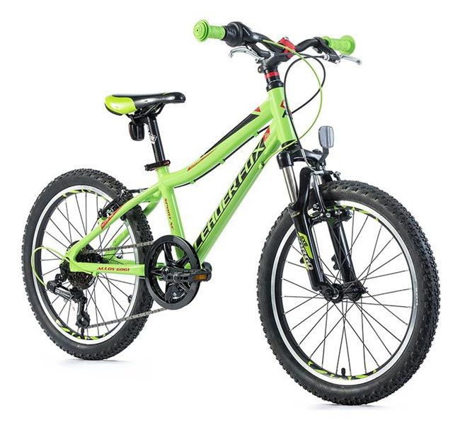 LEADER FOX SANTY 20"